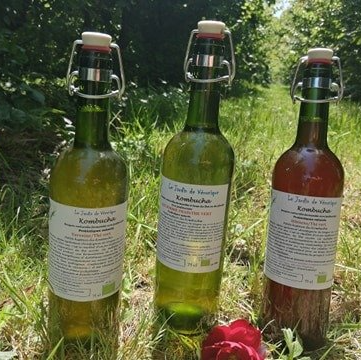 Kombucha locales Verger de Foncoussières