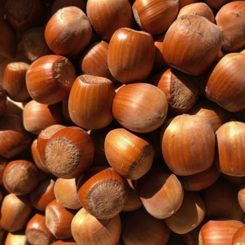 noisettes caramelisées earl des aygots