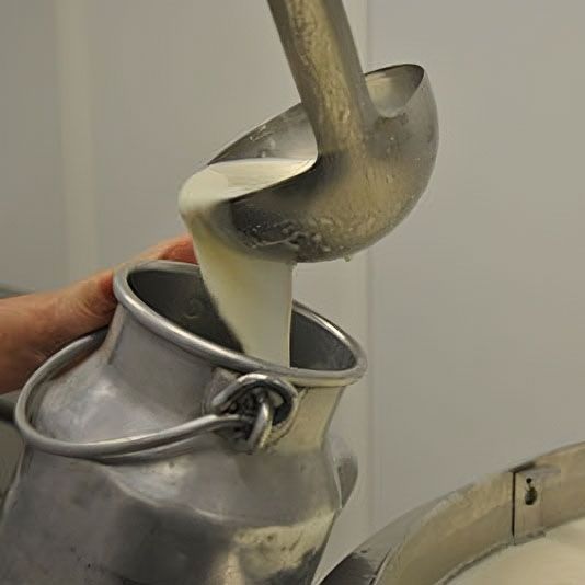 camembert locaux Verger de Foncoussières