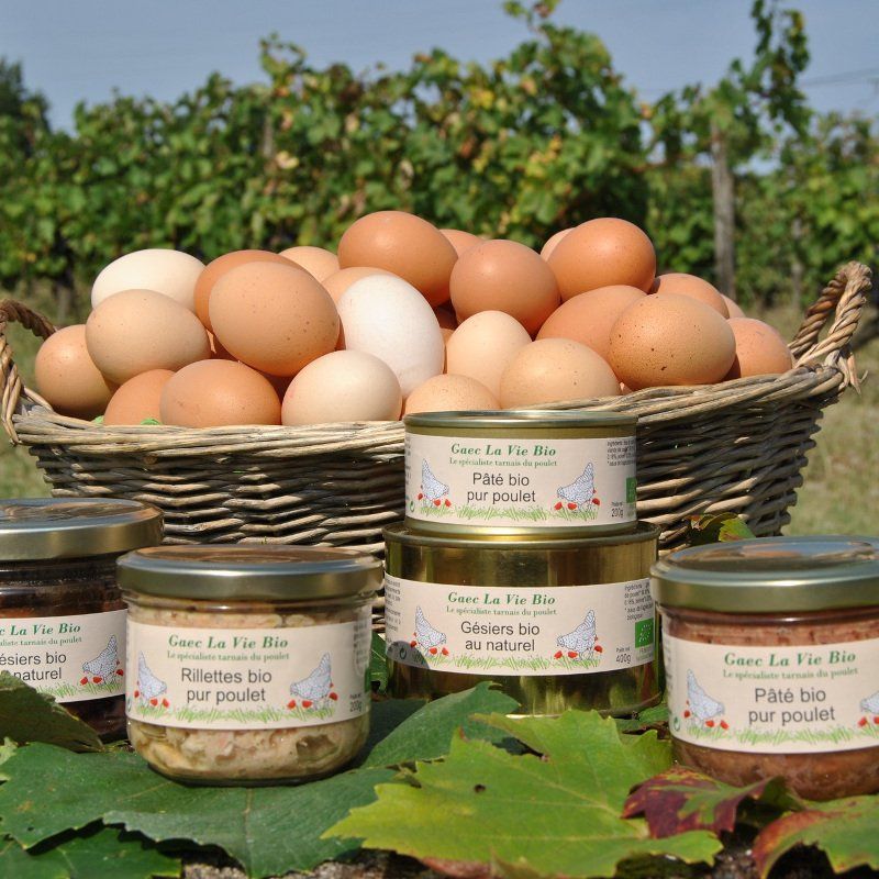 Oeufs et poulets Bio locaux Verger de Foncoussières