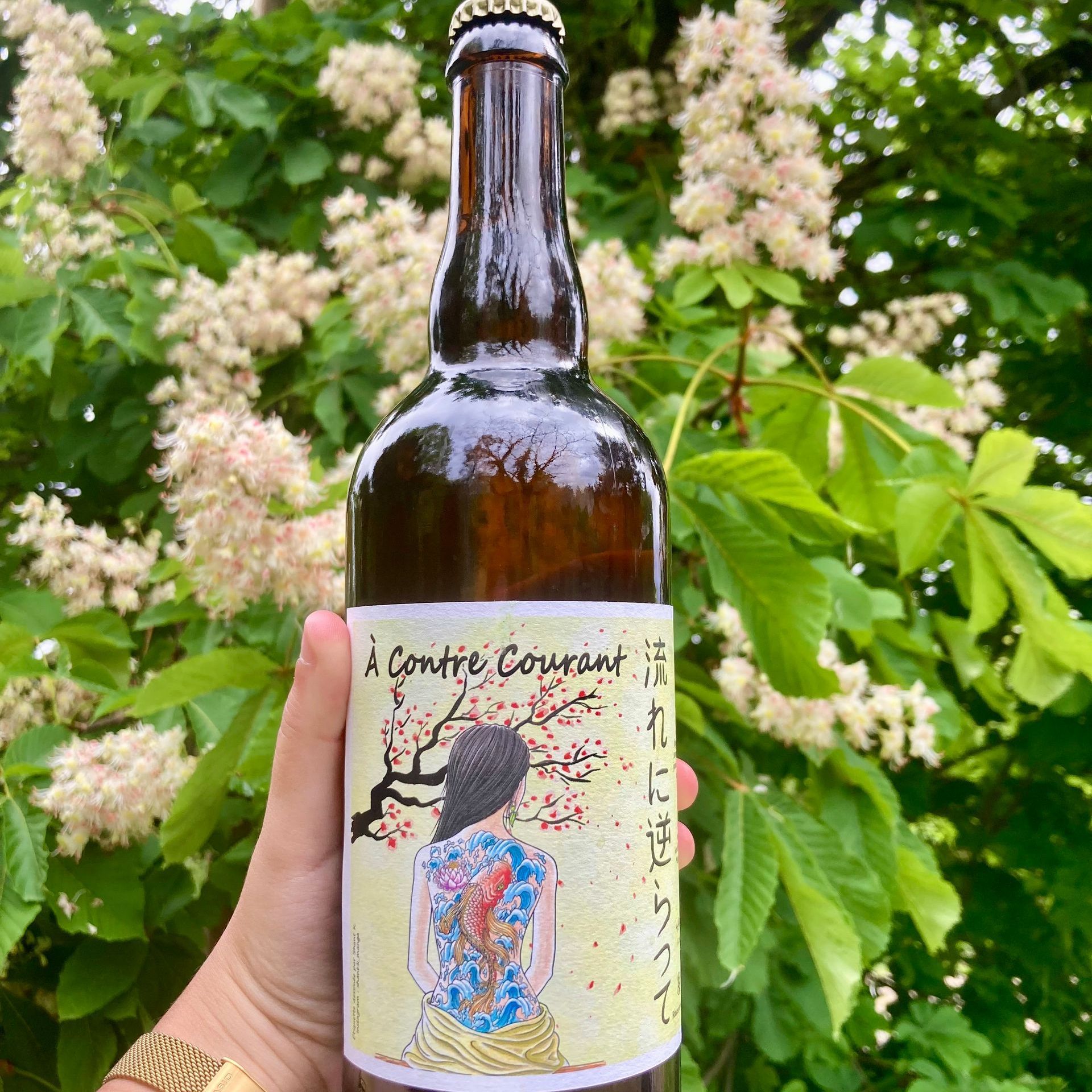 Brasserie bières bio locales producteur local