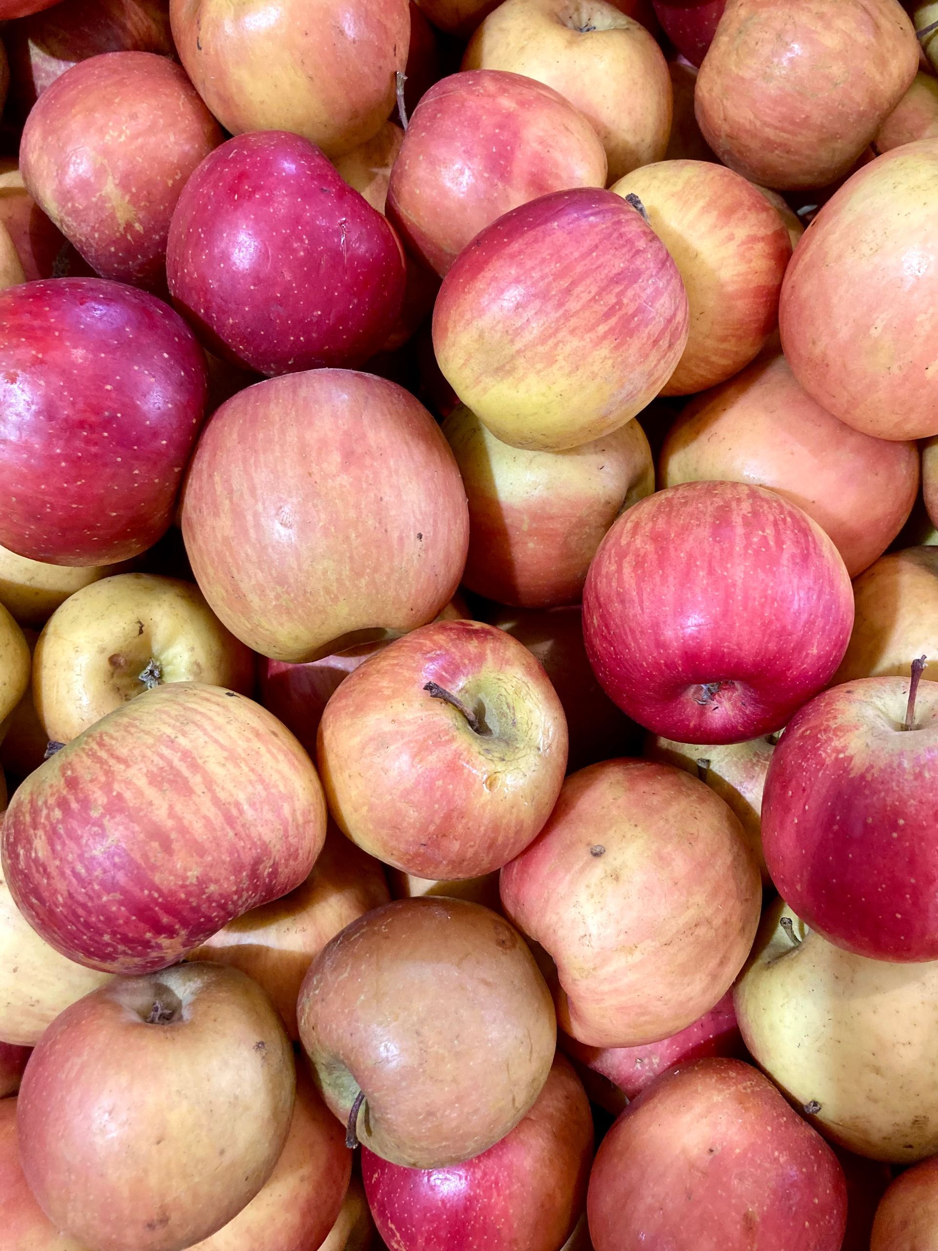 promo pommes verger de foncoussieres