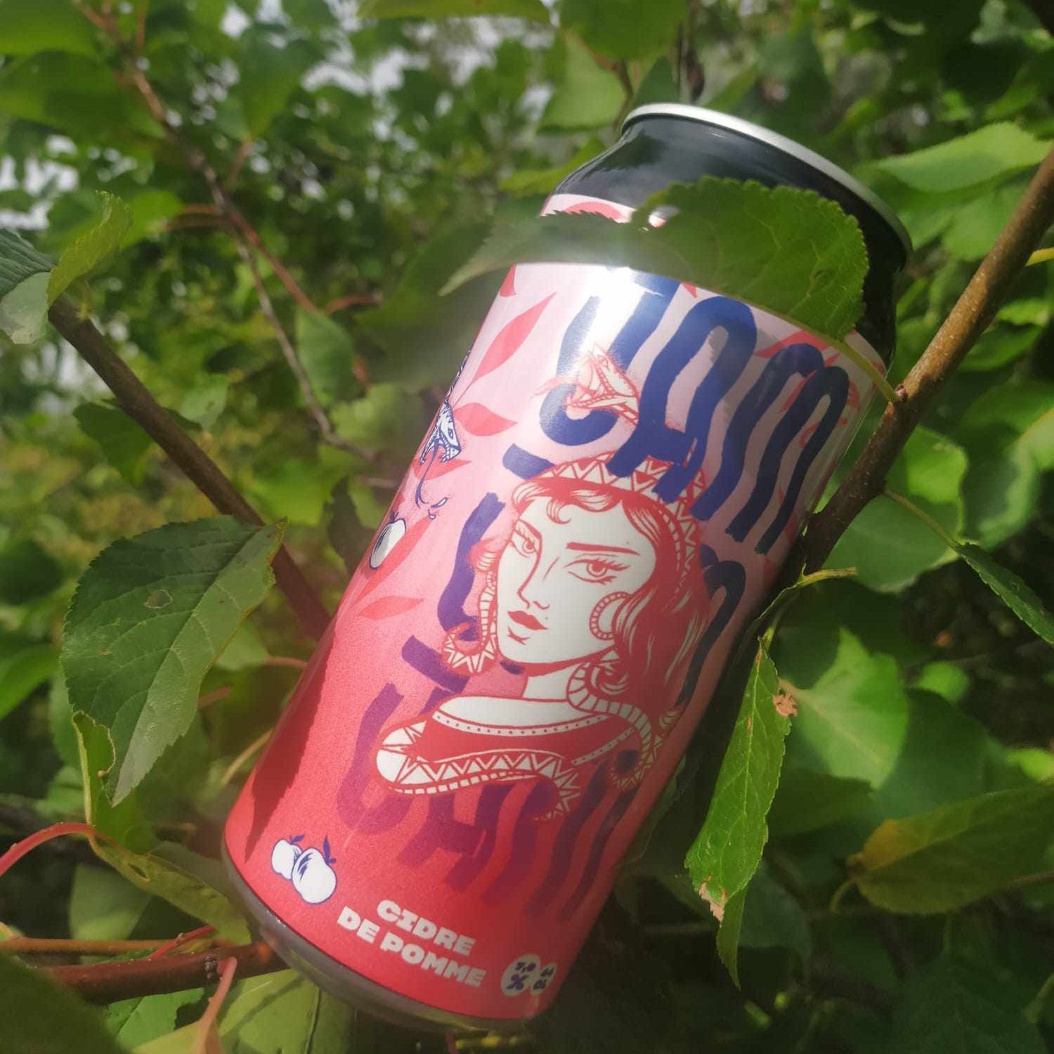 ice breaker cidre de pomme