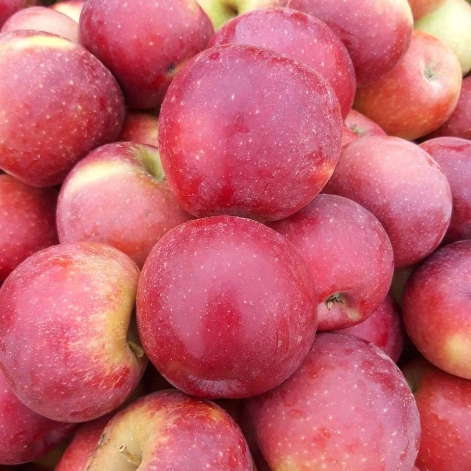 promo pommes verger de foncoussieres