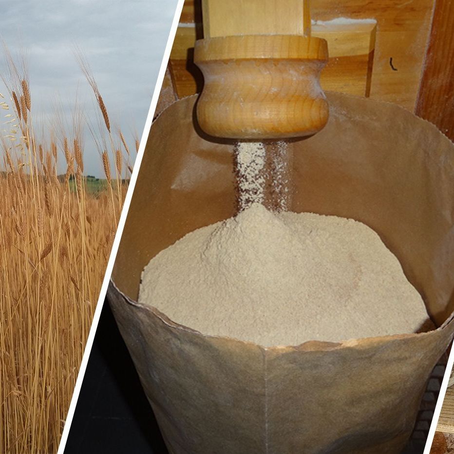 farine epeautre bio lou pais