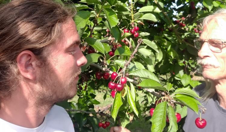 Journal d'ici Verger de foncoussieres verger bio à toulouse