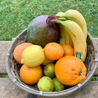 fruits exotiques agrumes locales fruits sec Verger de Foncoussières