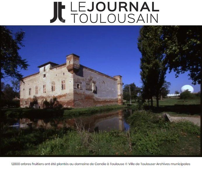 Le journal toulousain Verger de foncoussieres verger bio à toulouse