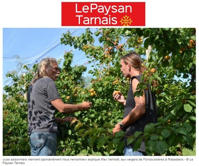 Paysan Tarnais Verger de foncoussieres Employer de la main d'oeuvre saisonnière