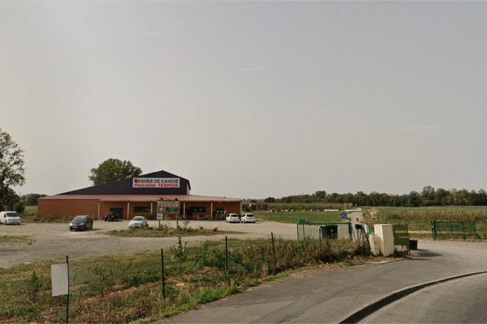 Actu Toulouse Verger de candie verger bio à toulouse