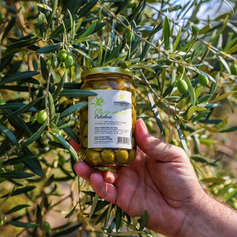 domaine rigaud croq olives