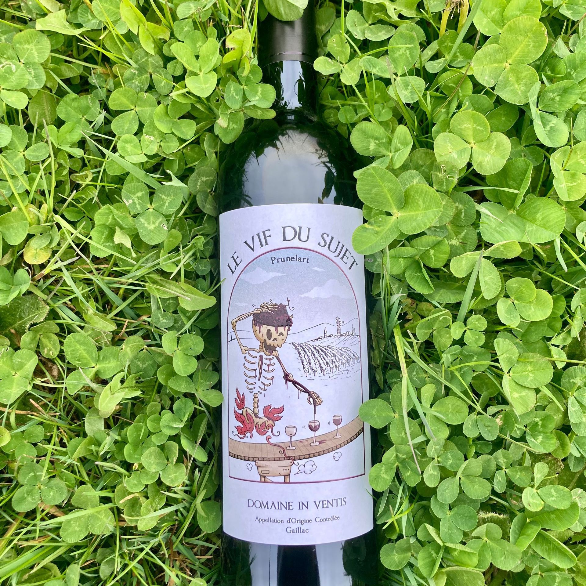 vin rouge producteur local bio