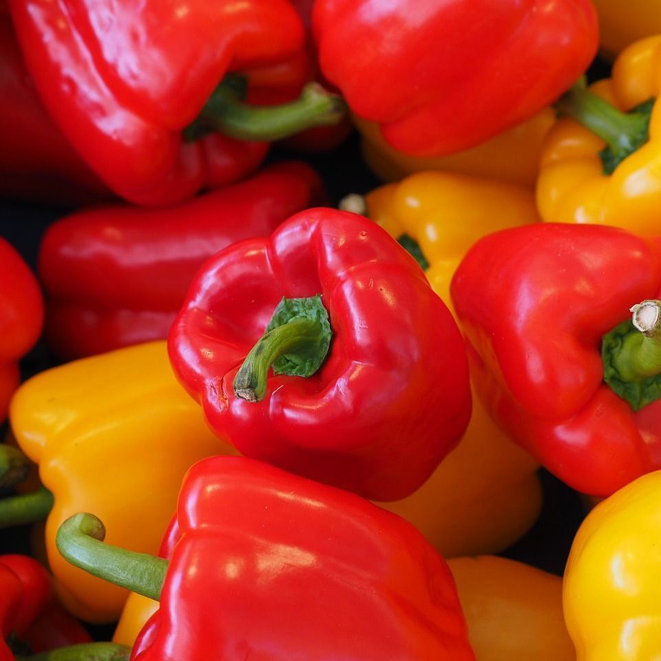 aubergines pommes de terre salades Verger de Foncoussières