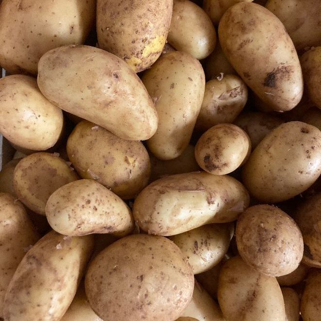 aubergines patate
legumes local agriculture magasin fermier