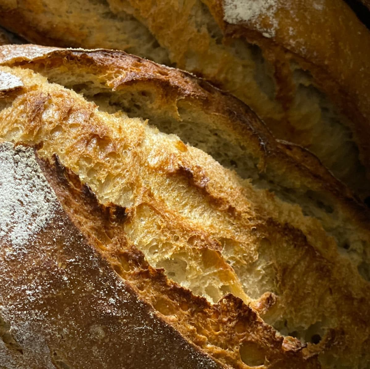 pains locaux Verger de Foncoussières