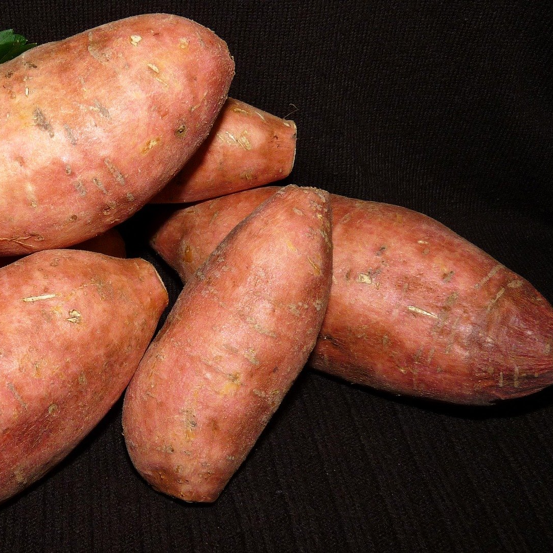 Fruits et légumes locaux Verger de Foncoussières huile courges