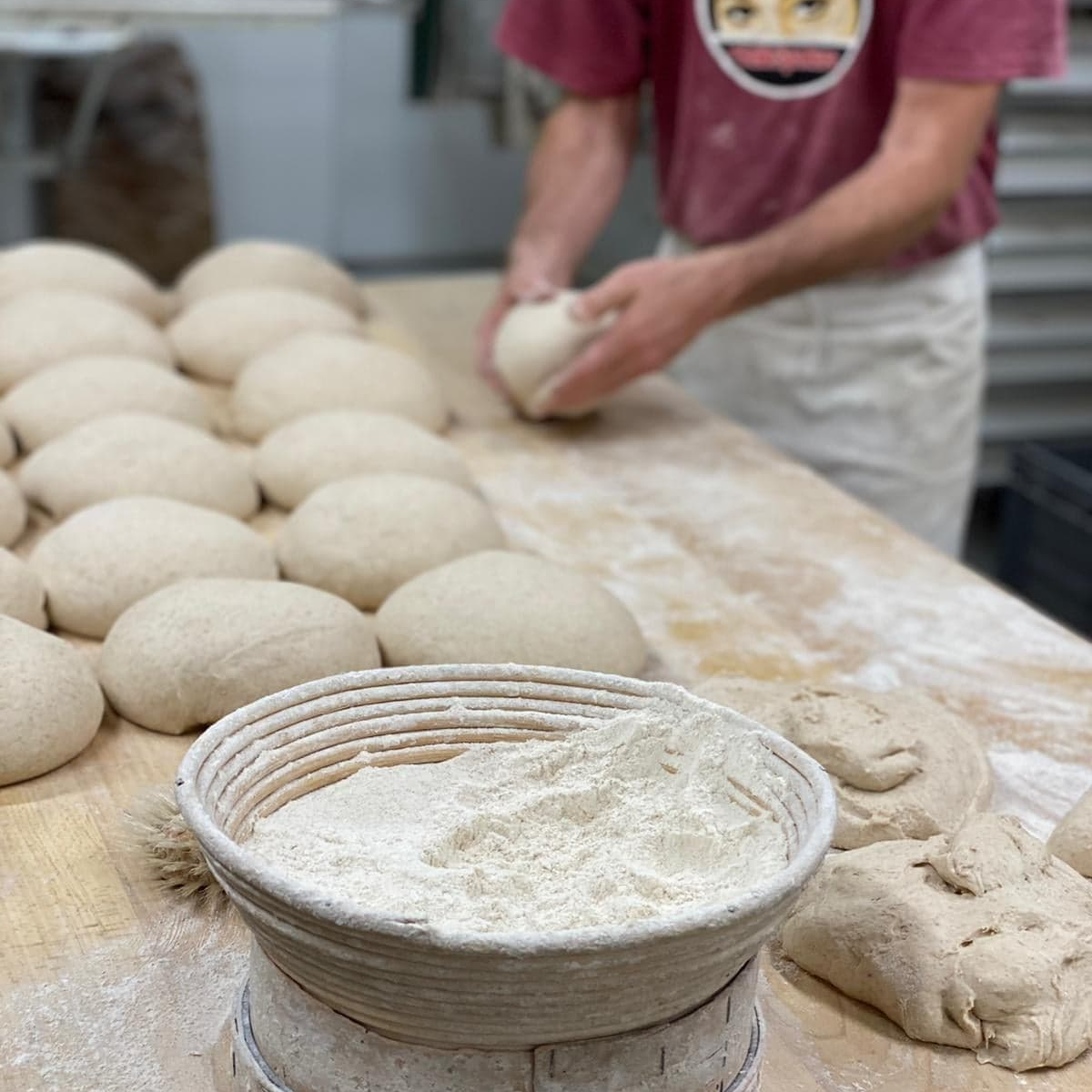 pain bio nature et progres locaux Verger de Foncoussières