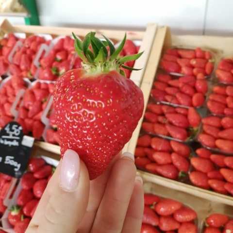 Fruits et légumes locaux Verger de Foncoussières