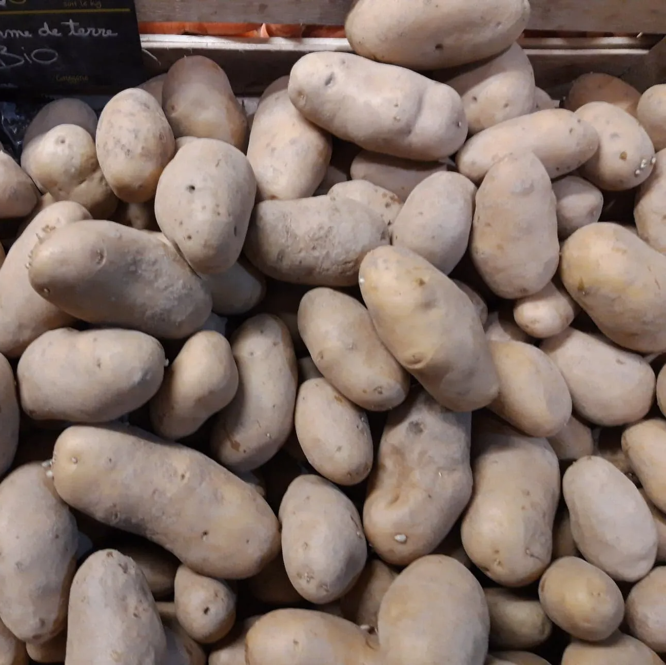 Pommes de terre locales Verger de Foncoussières