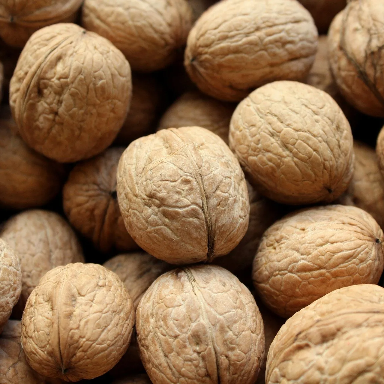 Noix locales Verger de Foncoussières