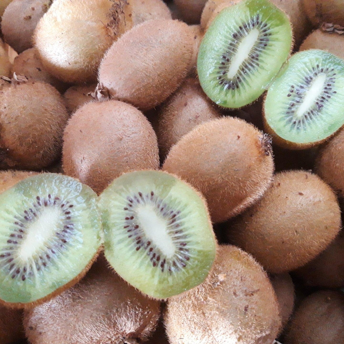 Kiwis locaux Verger de Foncoussières