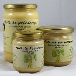 miel local rikomiel acacia foret fruits sec au miel