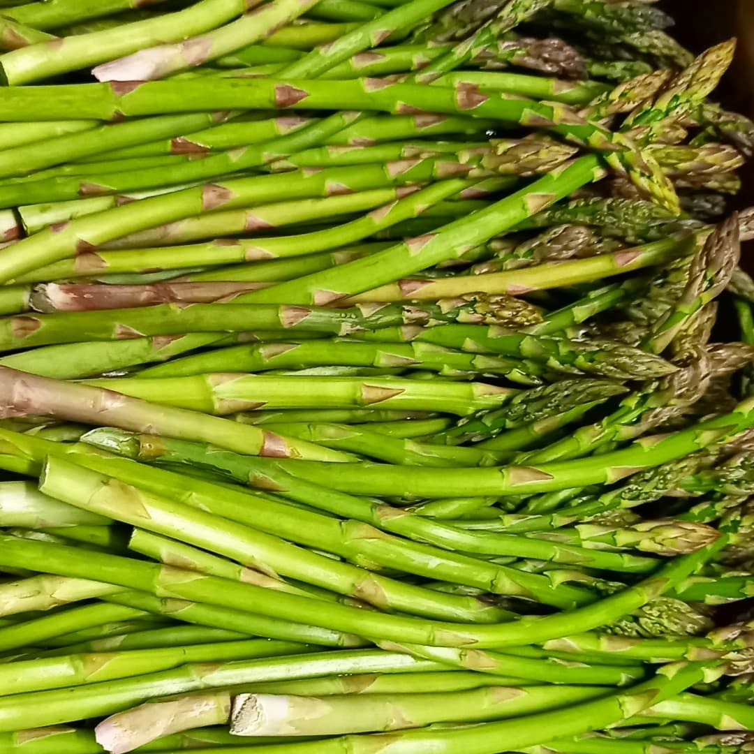 asperges artichauts locales Verger de Foncoussières