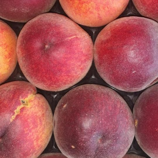 prunes peches et cerises Verger de Foncoussières