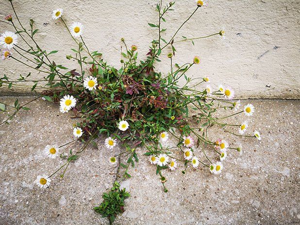 L'homme et la nature, un rapport dialectique, Photo Ann Ponchèle L'homme et la nature, un rapport dialectique, Photo Ann Ponchèle