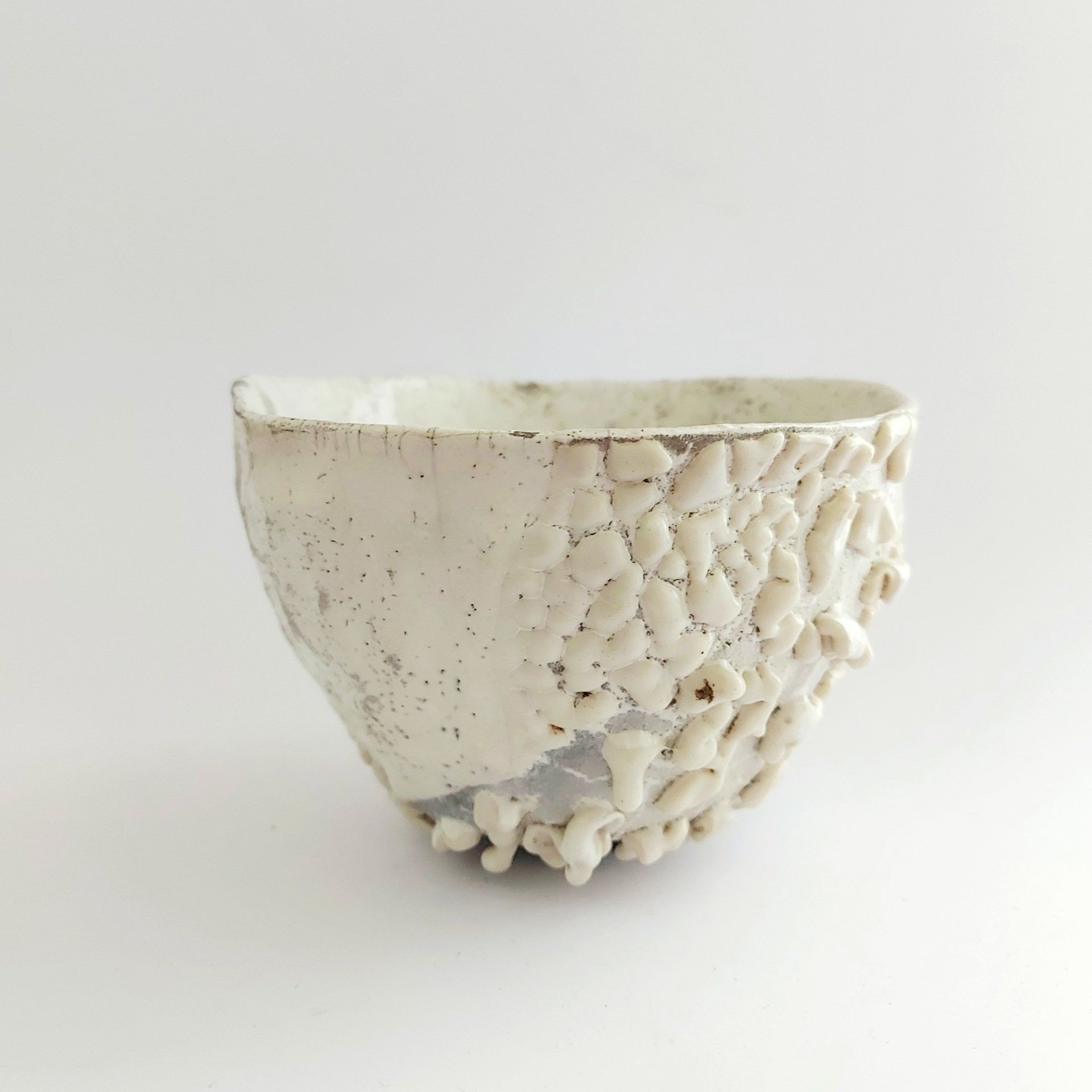 Nani Champy Scott Nani Champy Scott