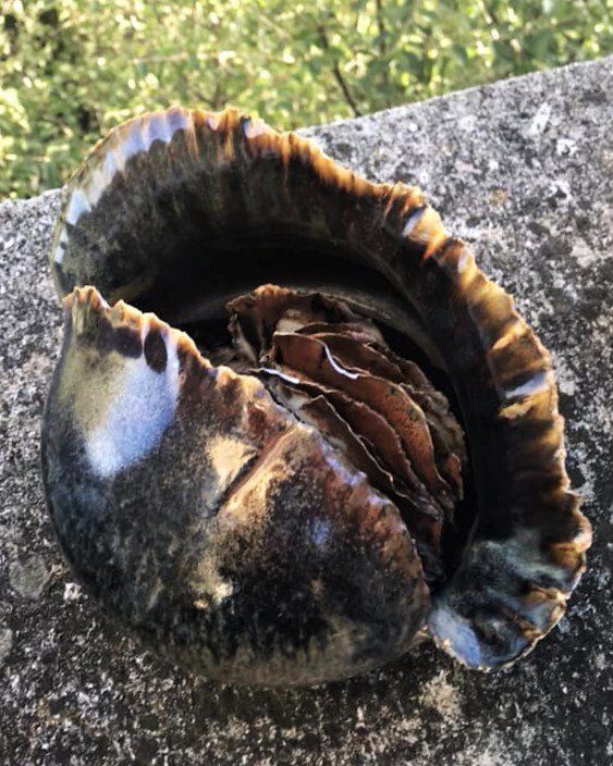 christiane filliatreau