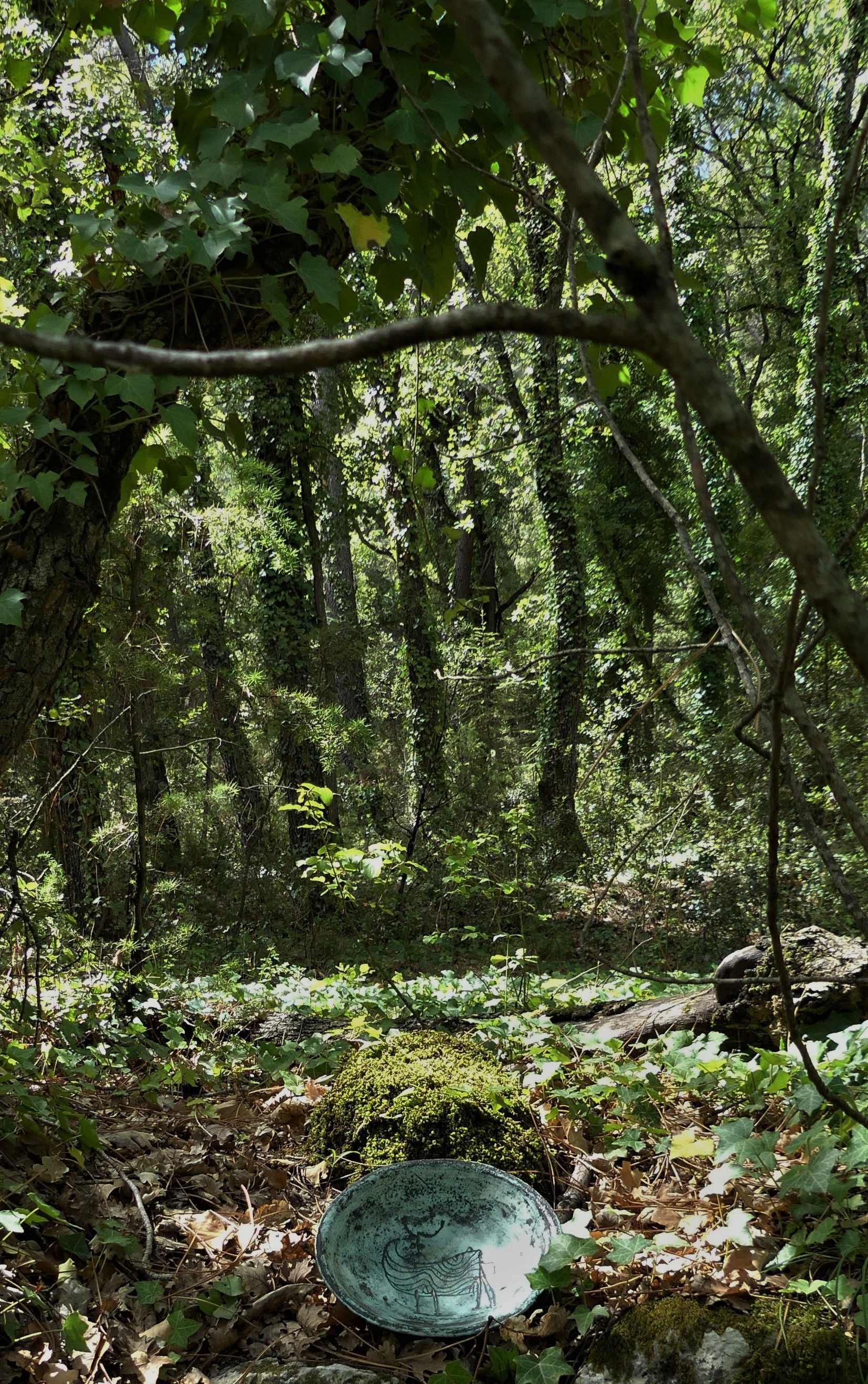 jacqus blin christine lavenu