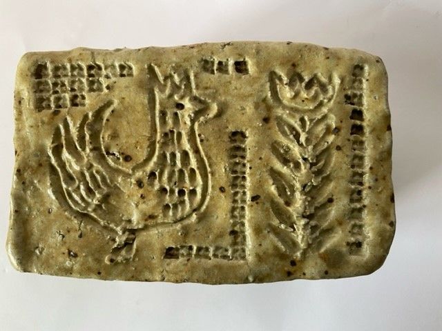 Barbara Delfosse barbara delfosse