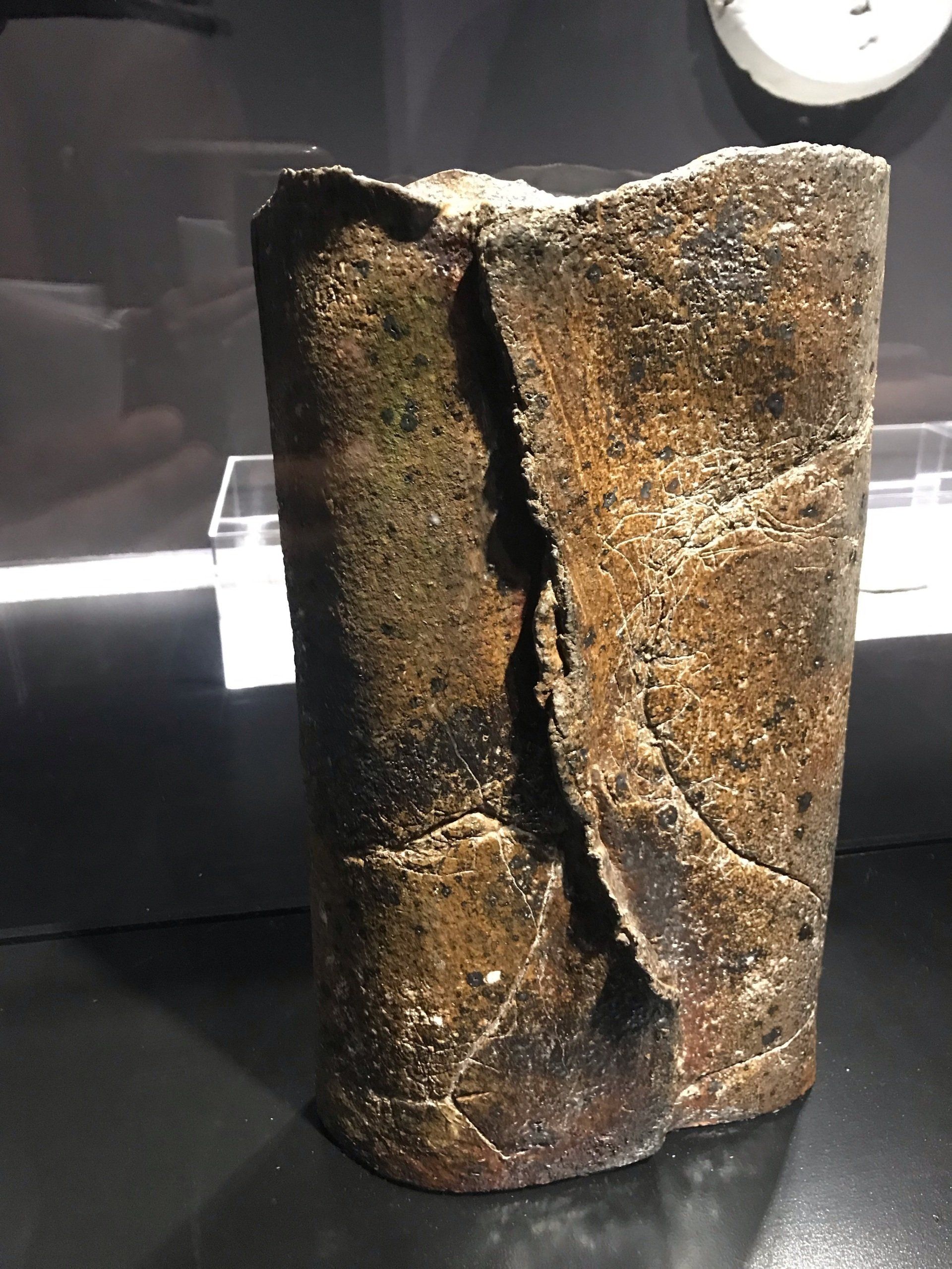 Musée de Beaux Arts Lyon Juin 2021 Elisabeth Joulia