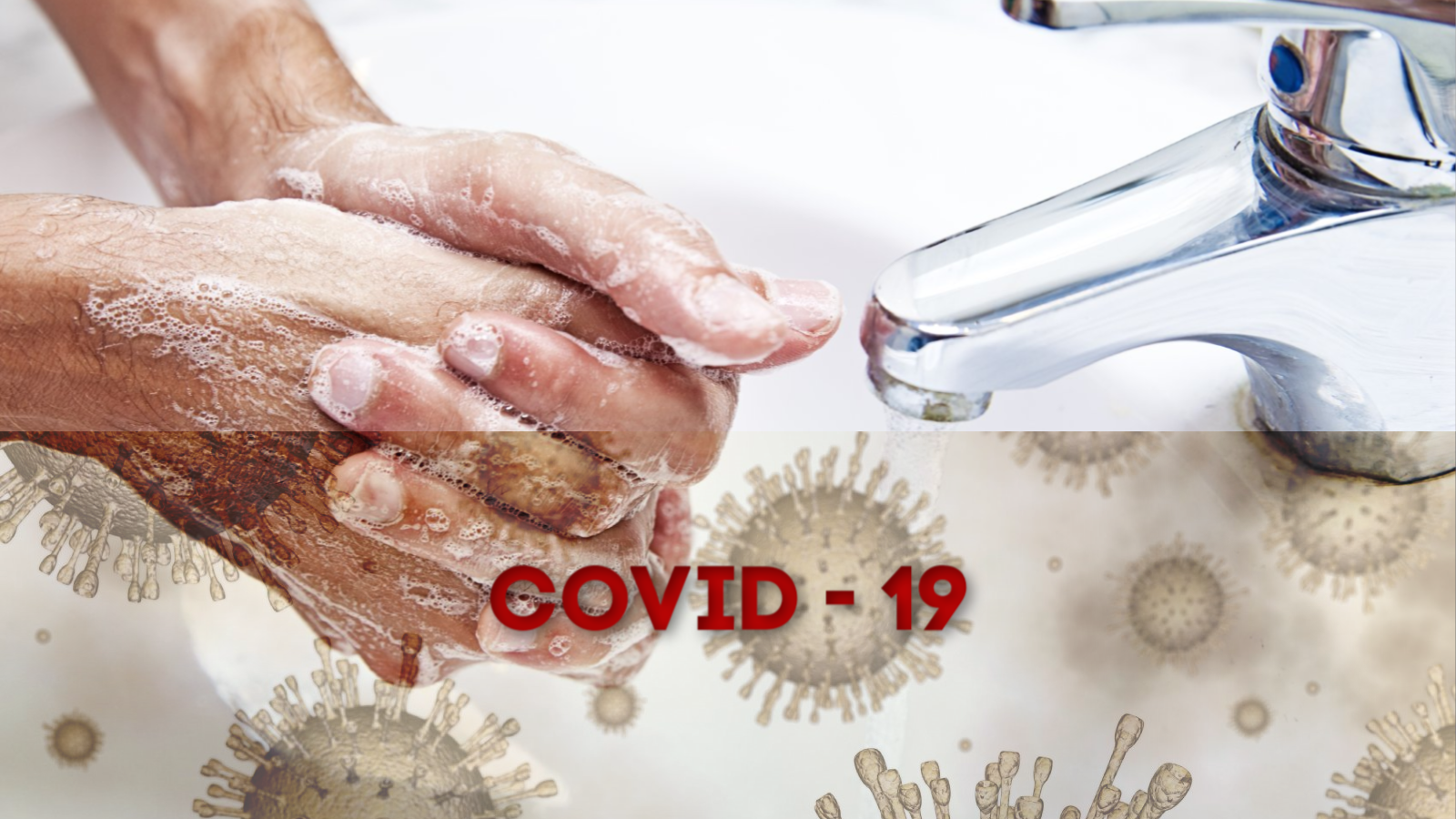 Learn and Fight COVID-19 Best practices, information and news articles for humanity to assimilate against a viral parasitic organism to deny it a human cell with which to proliferate. posted on Living Estates Realty.