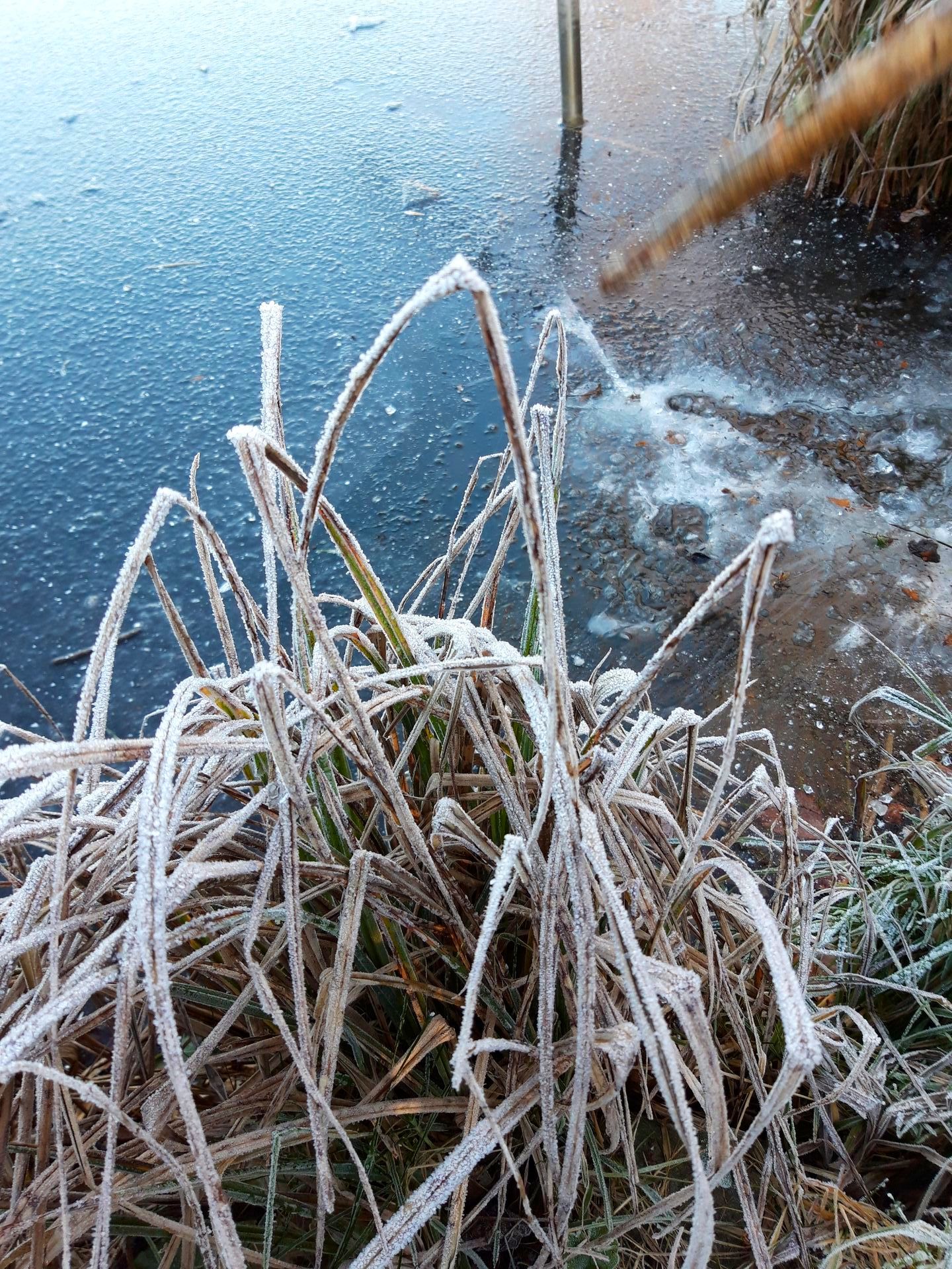 Wanderwege auf dem Daudieck