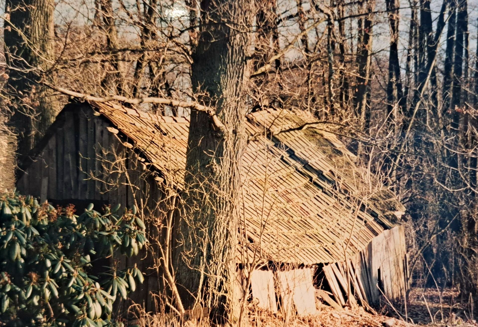 Backhaus vorher