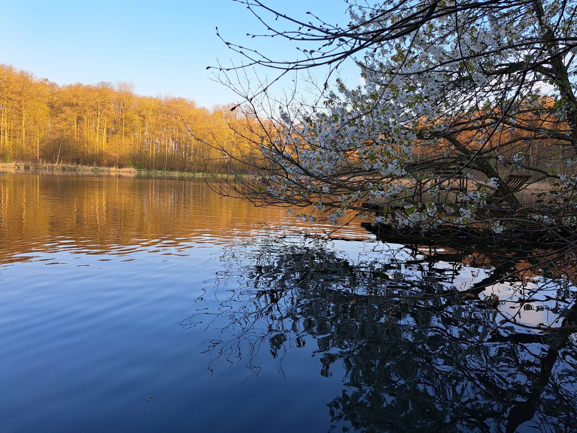 Teiche Quellen Daudieck