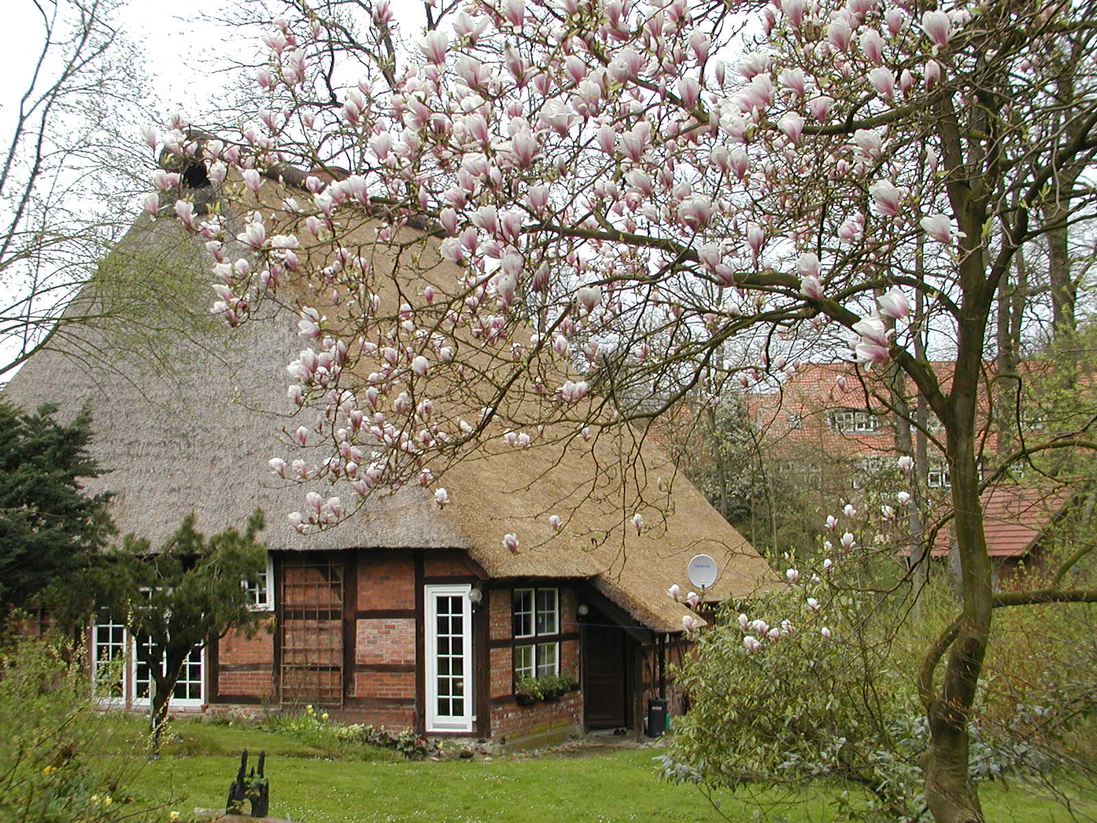 Mühle Gut Daudieck Fachwerk