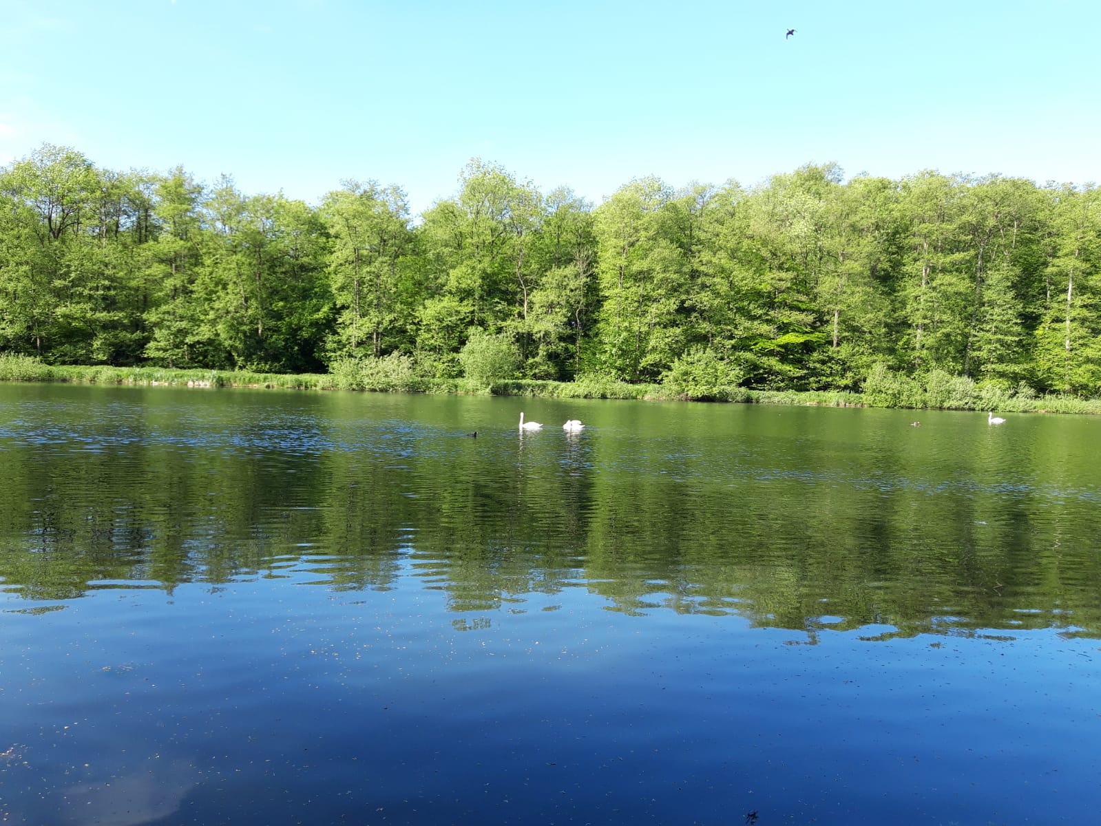 Gut Daudiek Fotos Landschaft