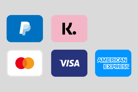 ZAI accepts PayPal, Klarna and many Credit Cards