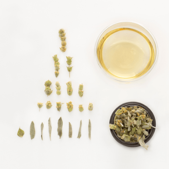 Zai mountain tea 100% sideritis raeseri