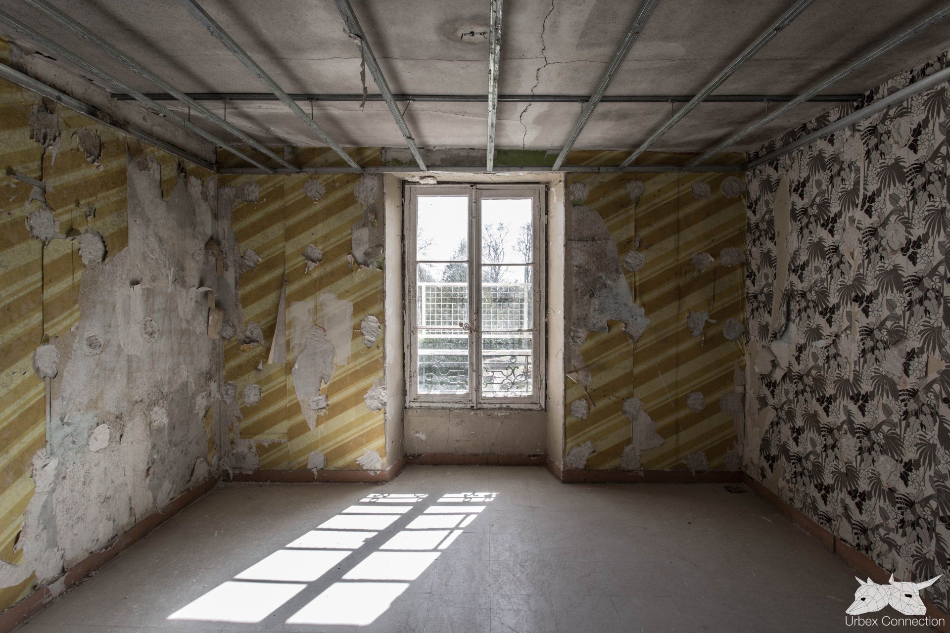 Fenêtres du Château des Bocot, un témoignage de l'abandon, où le temps semble suspendu.