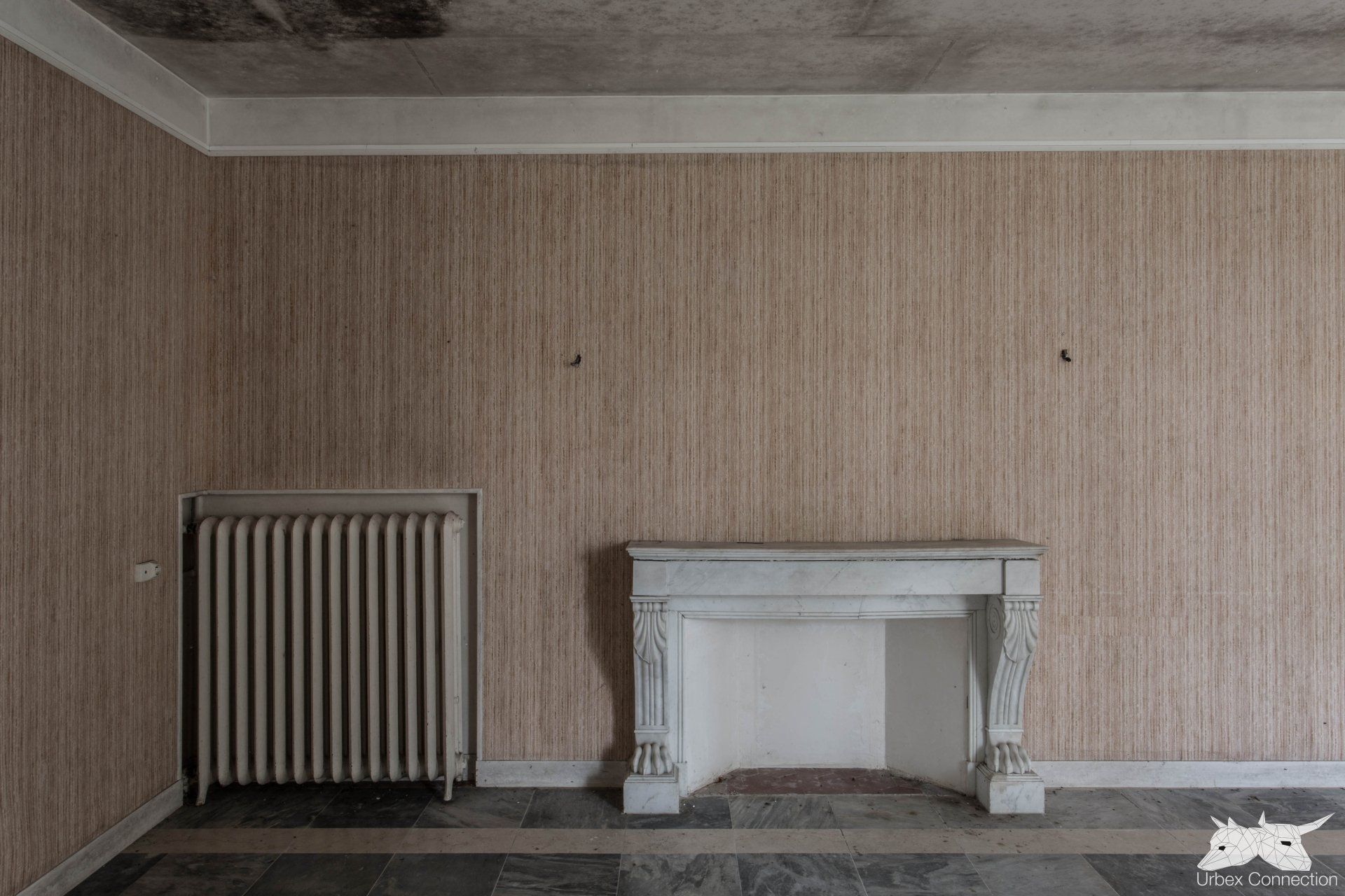 Intérieur du Château des Bocot, où les murs délabrés racontent l’histoire de ce lieu autrefois vivant.