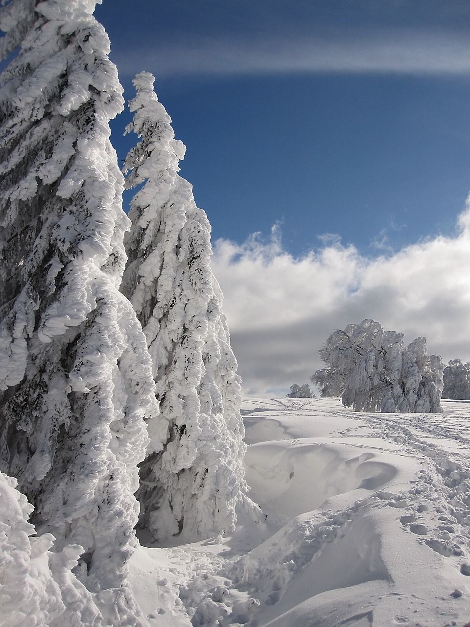 snow-1768544_1280-eef51736.jpg