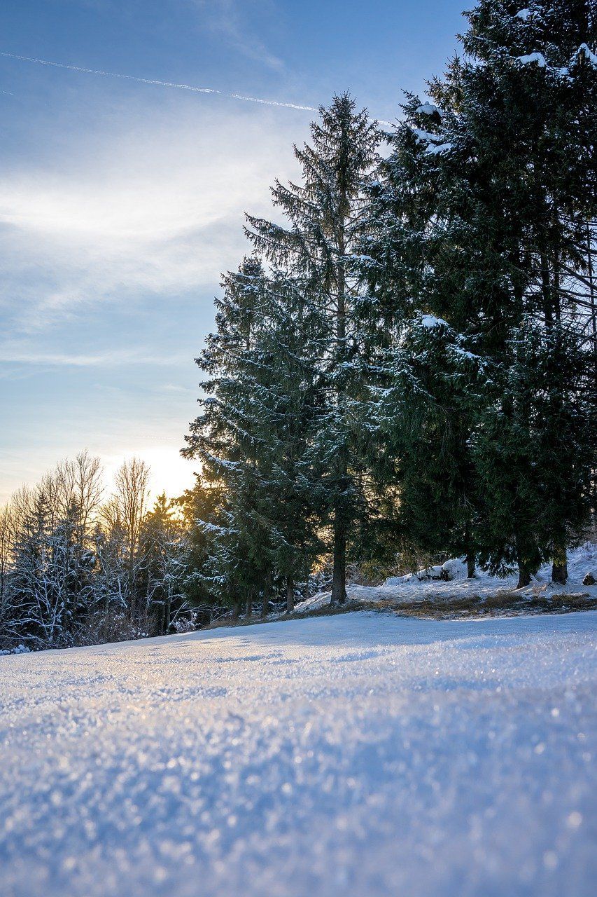 Winterlandschap