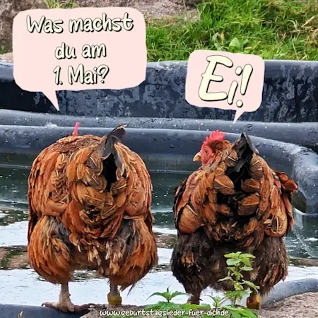 1. Mai Grüße lustig 1. Mai Grüße lustig