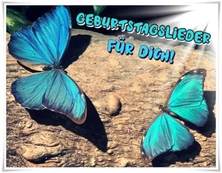 Geburtstagslieder für Frauen kostenlos für Whatsapp Geburtstagslieder für Frauen