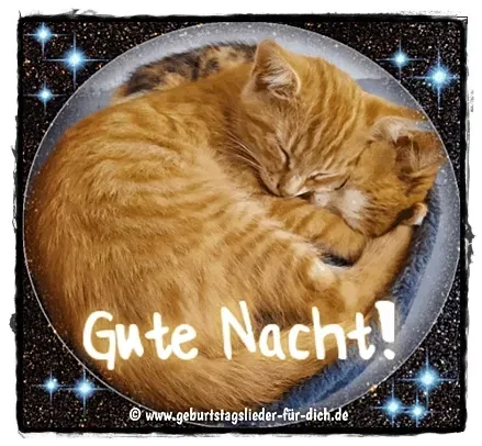 Kätzchen Abendgruß Abendgrüße mit Katzen