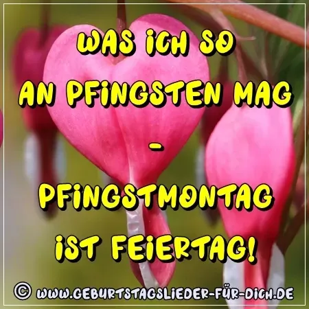 lustige Pfingstgrüße für Whatsapp Pfingstgrüße lustig für Whatsapp